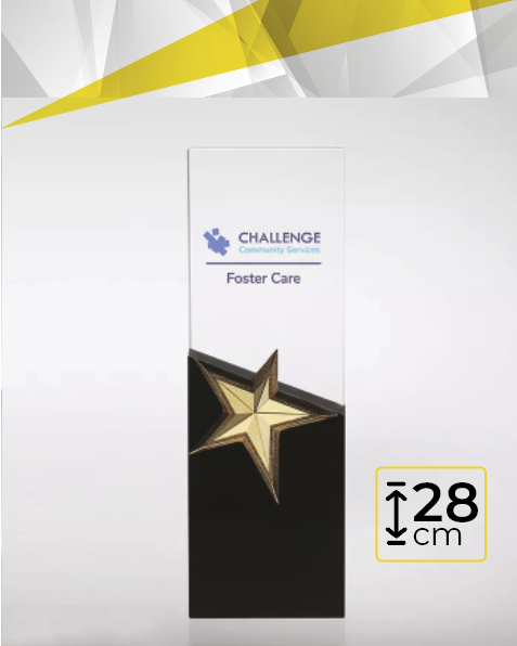 Crystal Awards With Black Design On The Bottom